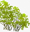 ��������� ��������